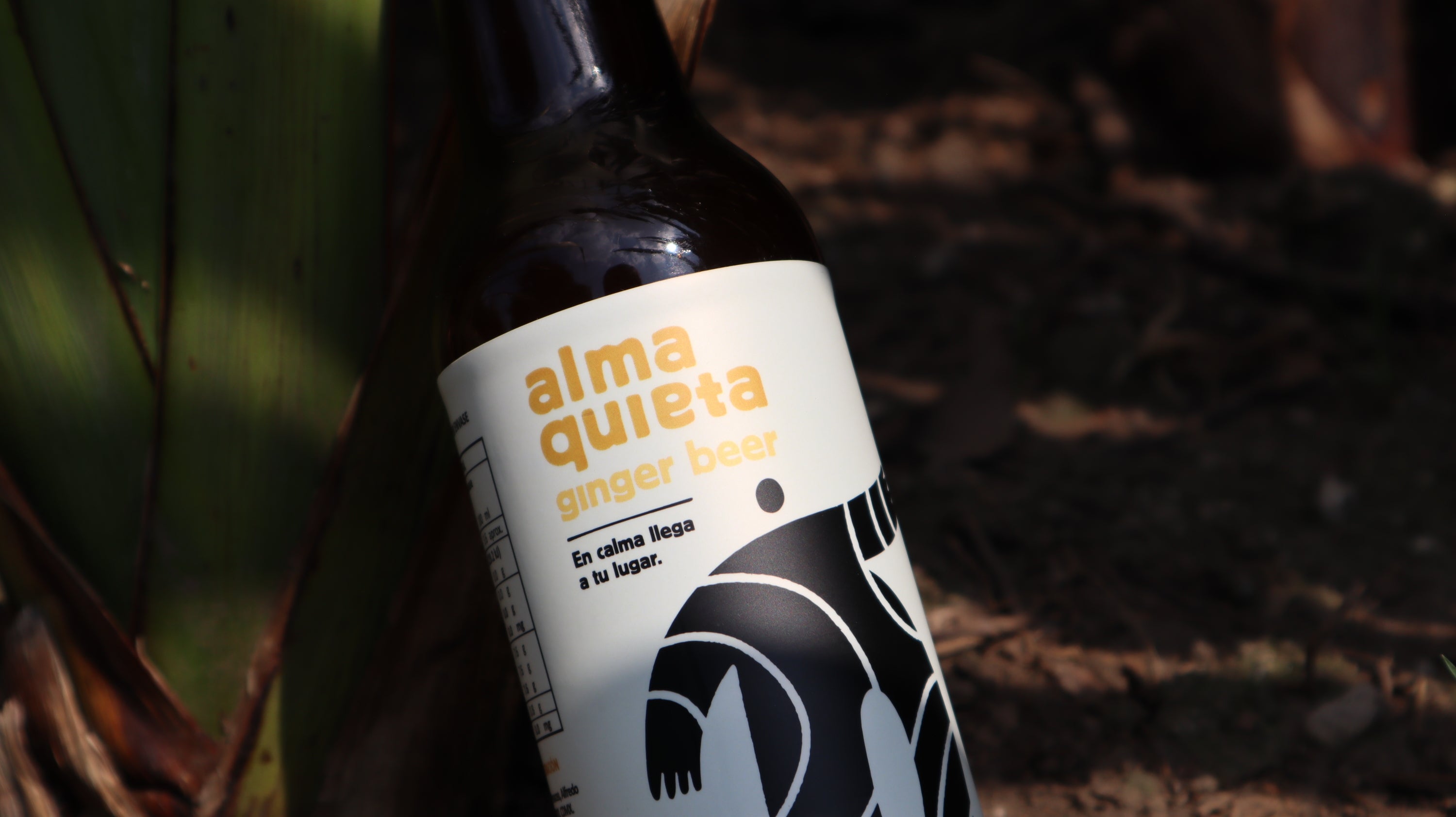 Ginger Beer. Diversificando la sustentabilidad