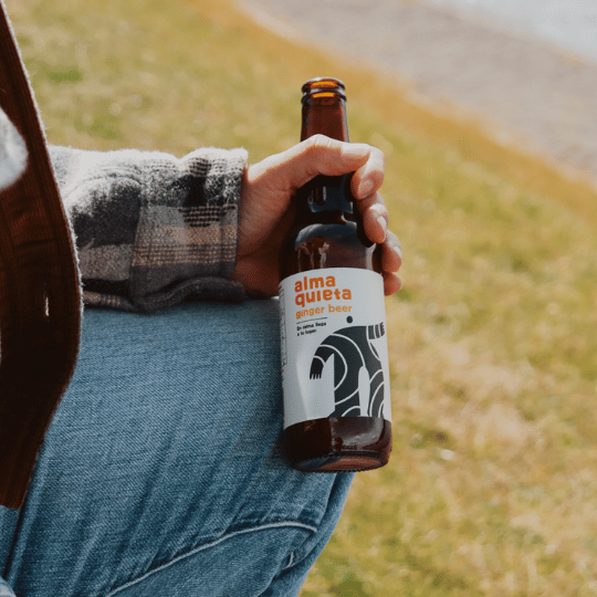 Ginger Beer no alcohólica