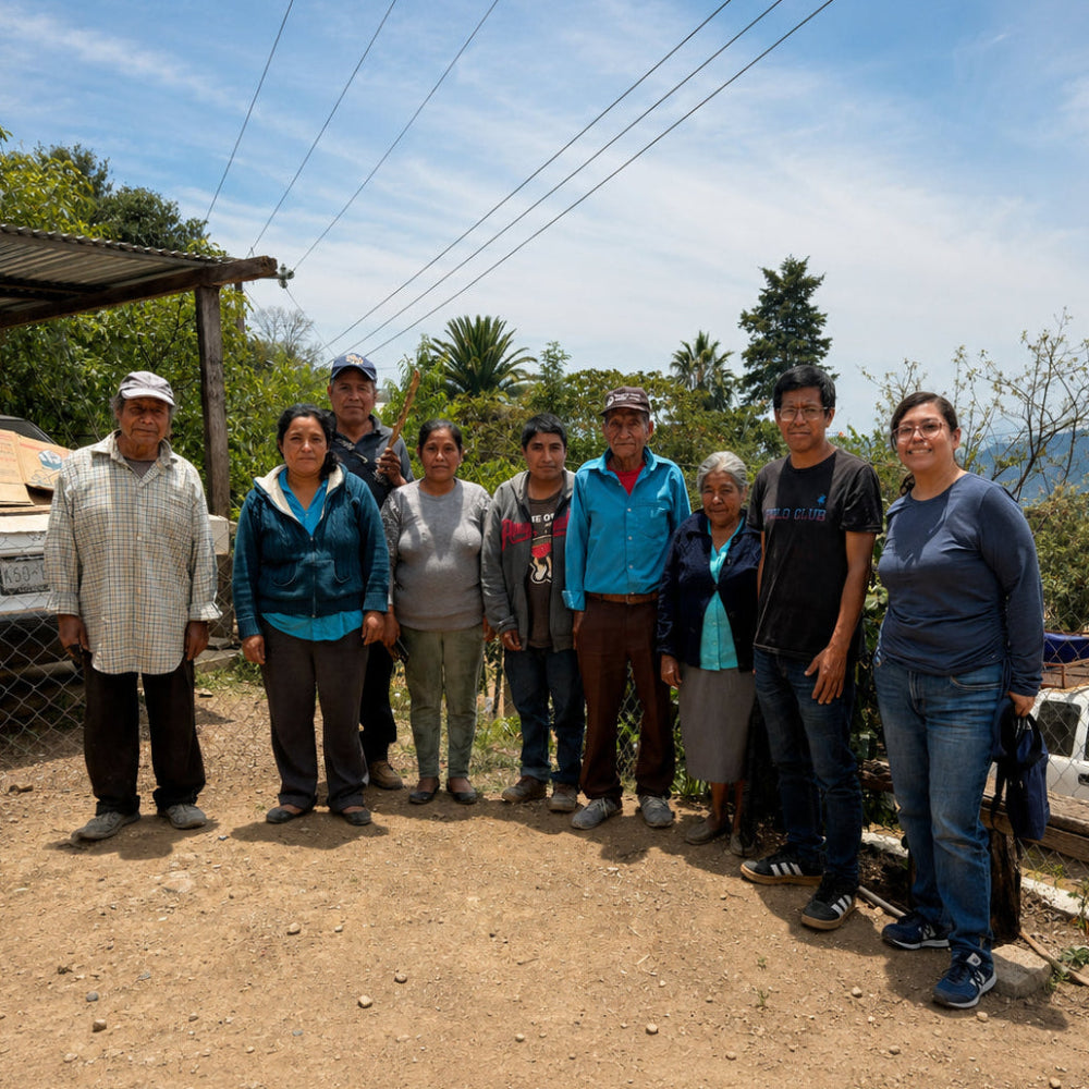 Grupo de productores Yuku Kafe en la comunidad de Yukuhuiti, Oaxaca