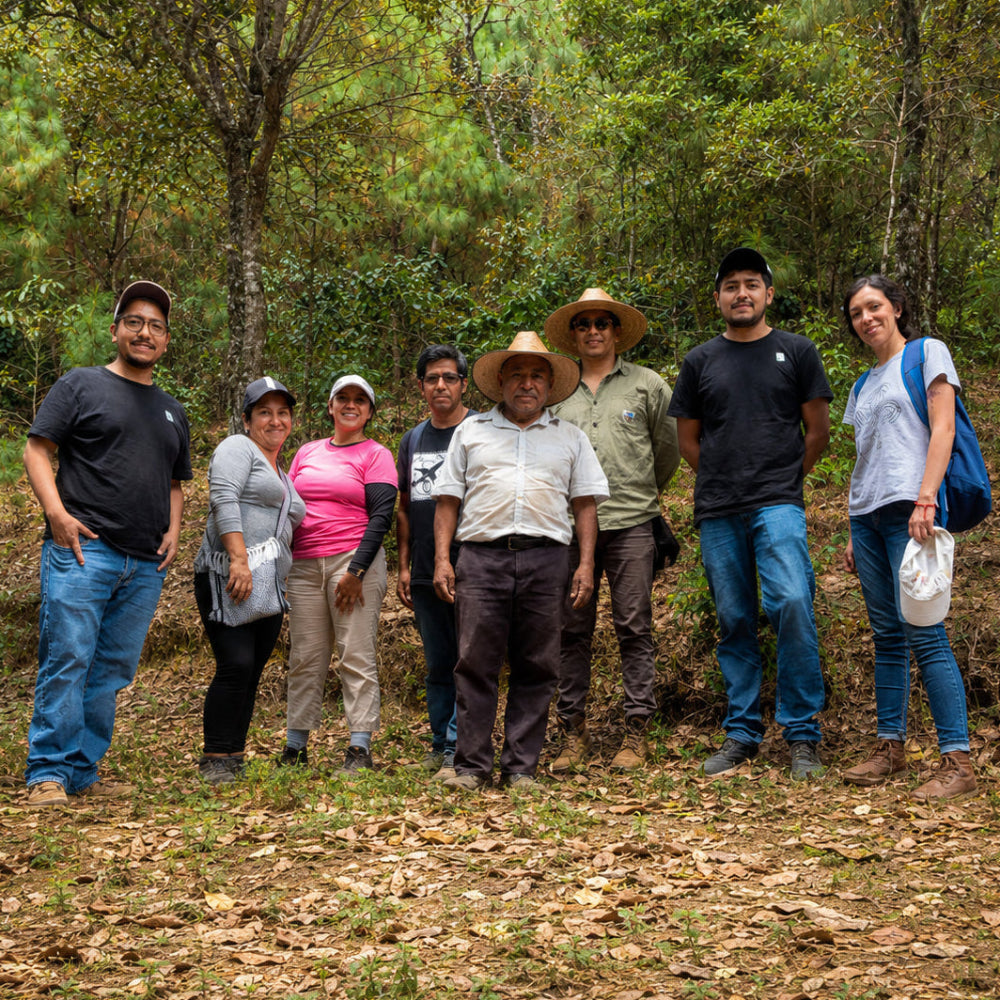 Grupo de productores Yuku Kafe en la comunidad de Yukuhuiti, Oaxaca